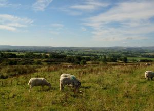 Eden Valley & Dufton
