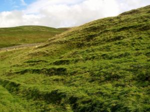 Eden Valley & Dufton