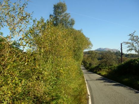 Acharacle_cycling (10)