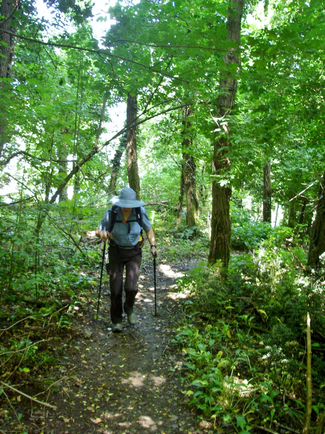 Italy_Venice_Hills(347)