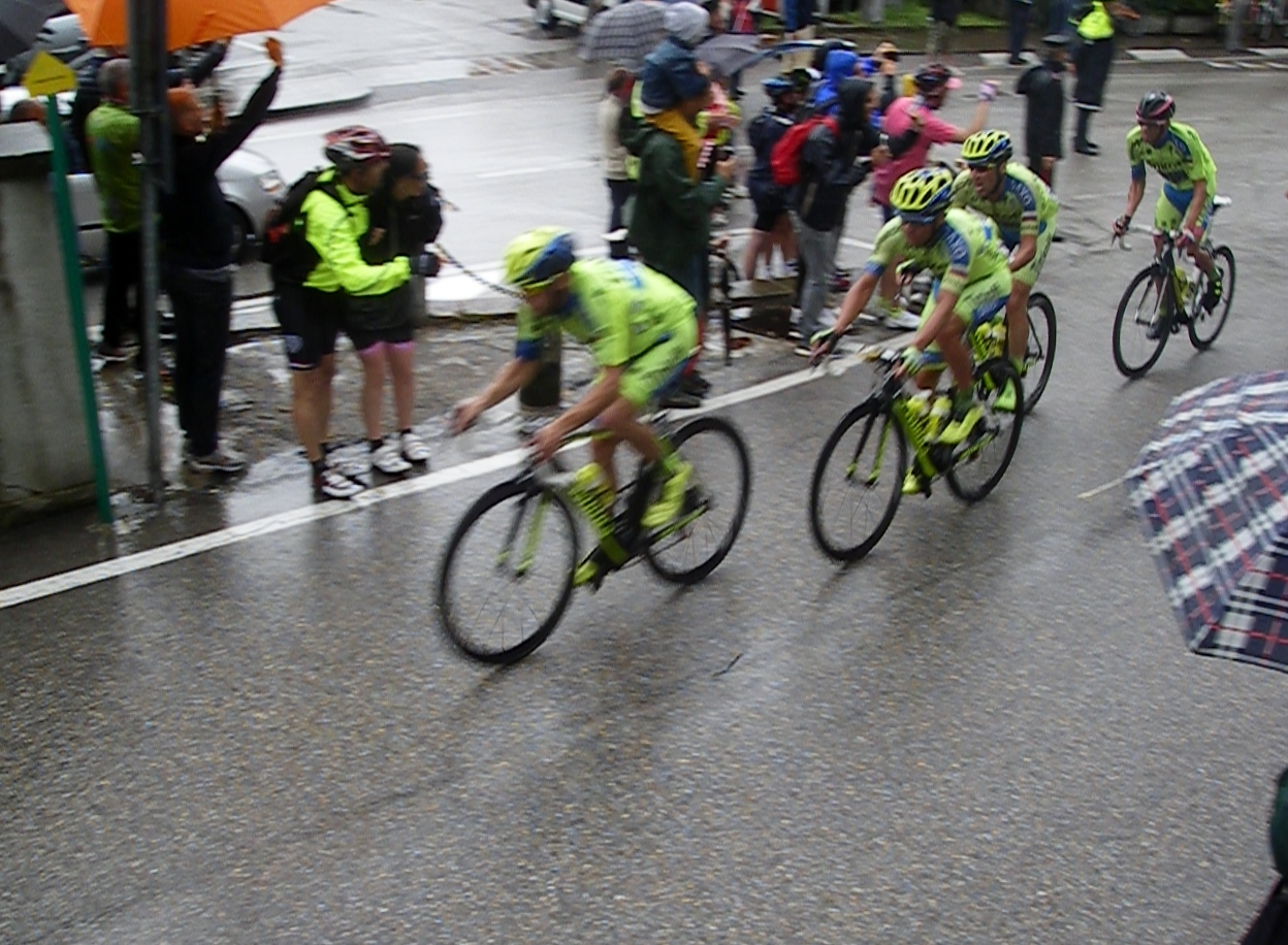 Venice Hills (Colli Euganei)